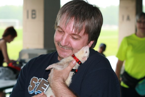 Find a ferret perfect for you