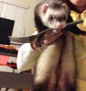 Turnip stealing a fork - because he can