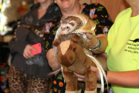 15032965814_836f8afd99_o