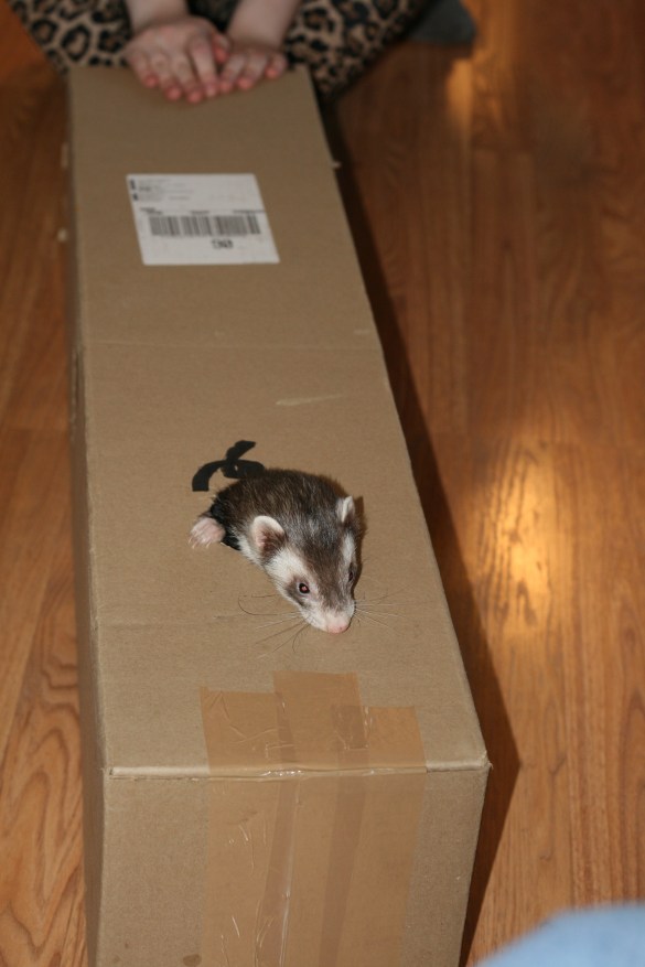 15032986244_43f1363c83_o