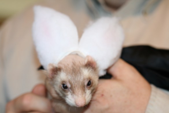 15467082169_42d3d6a02b_o