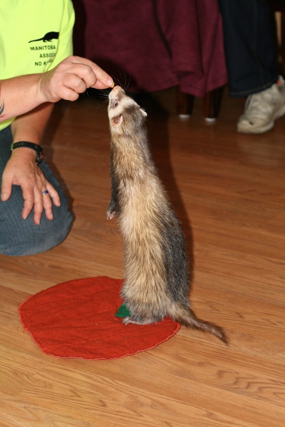 15467603938_9ed2cc2699_k