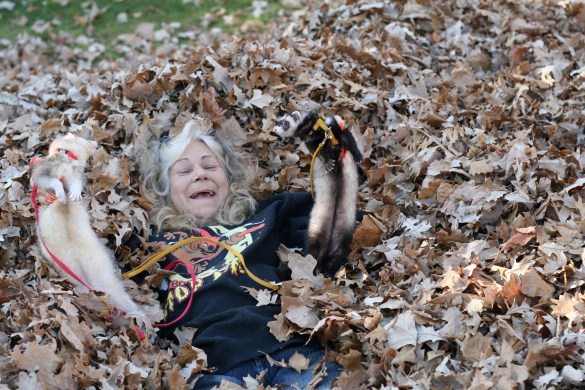 15651017041_85709514b1_o