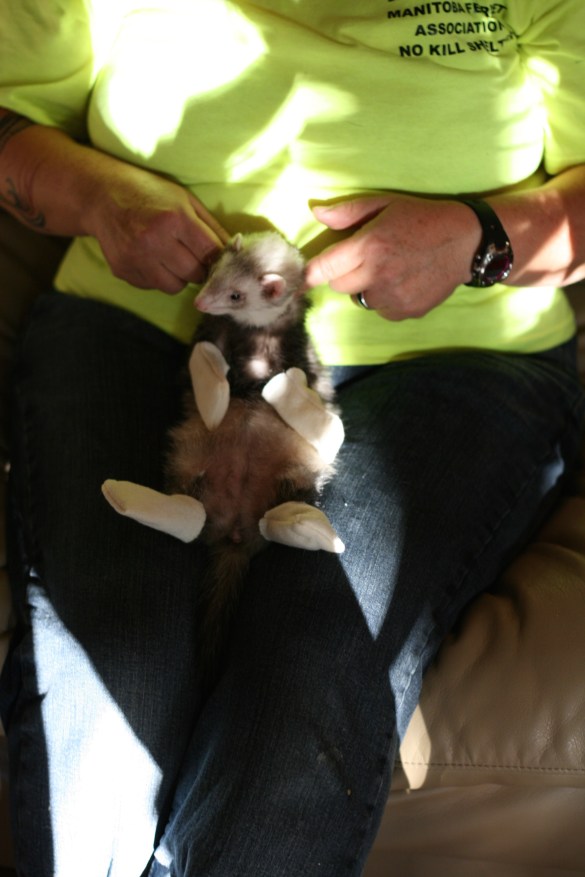 15651024101_88a1632e2f_o