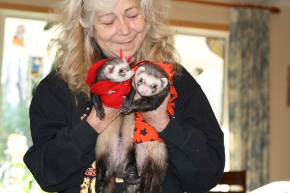 15651034761_29d2403cfb_o