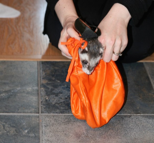 15653722635_d9258d69de_o