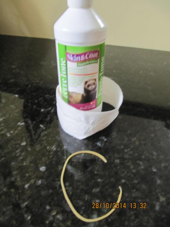 heart attack avoided, elastic is all there