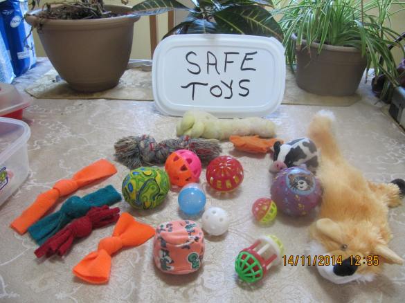 assortment of safe toys
