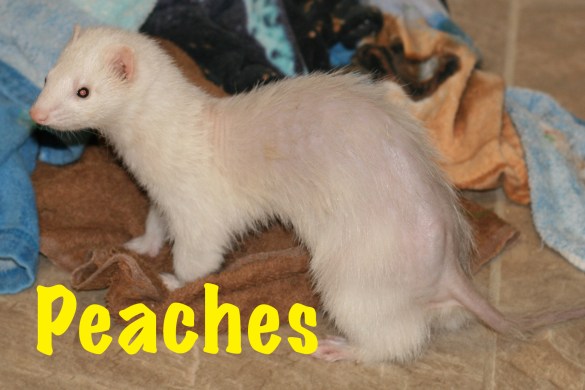 I'm an old, old lady, I would never be naughty (tehe)