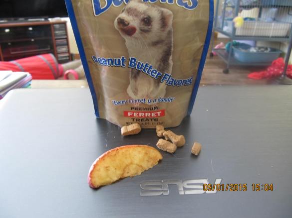 slice of apple softens the treats naturally