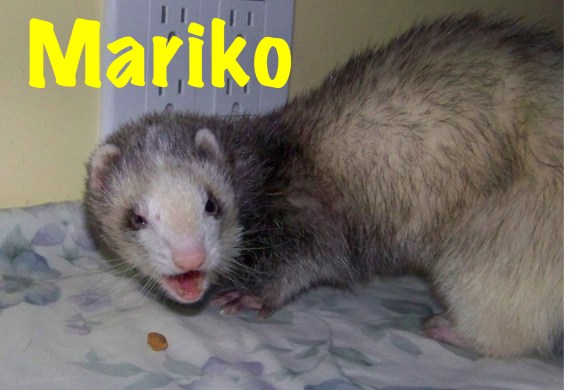Mariko-This is my best smile!