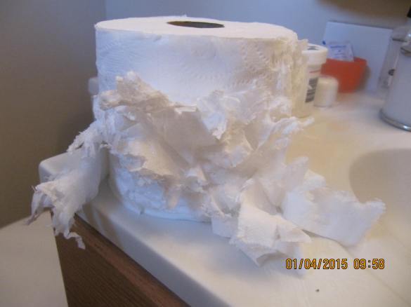Custom detailed roll of toilet paper a la ferret!