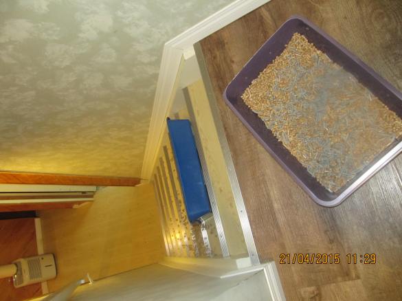 the 2 litter boxes at the top of the stairs and the lip of the spilled box 2 steps down!