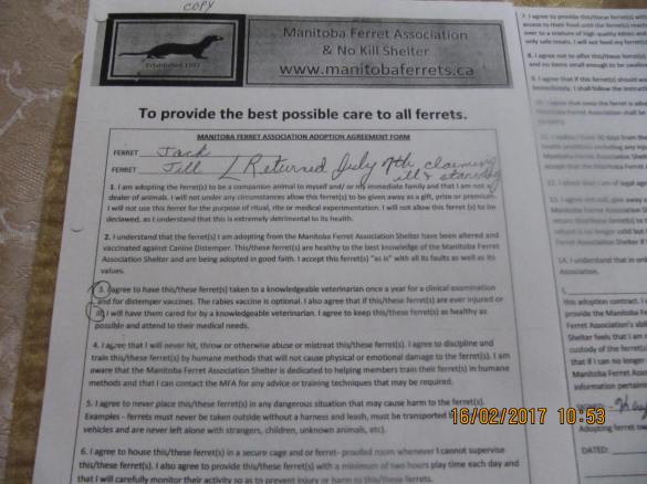 Jill adoption page 1