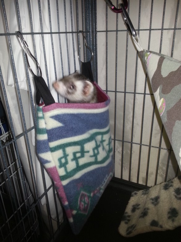 lulu-looking-out-of-her-new-hanging-sleep-sack