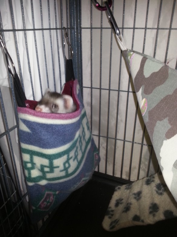 lulu-trying-out-her-new-hanging-sleep-sack